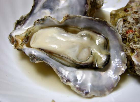 鮮活水產(chǎn)類(lèi)：甲魚(yú)