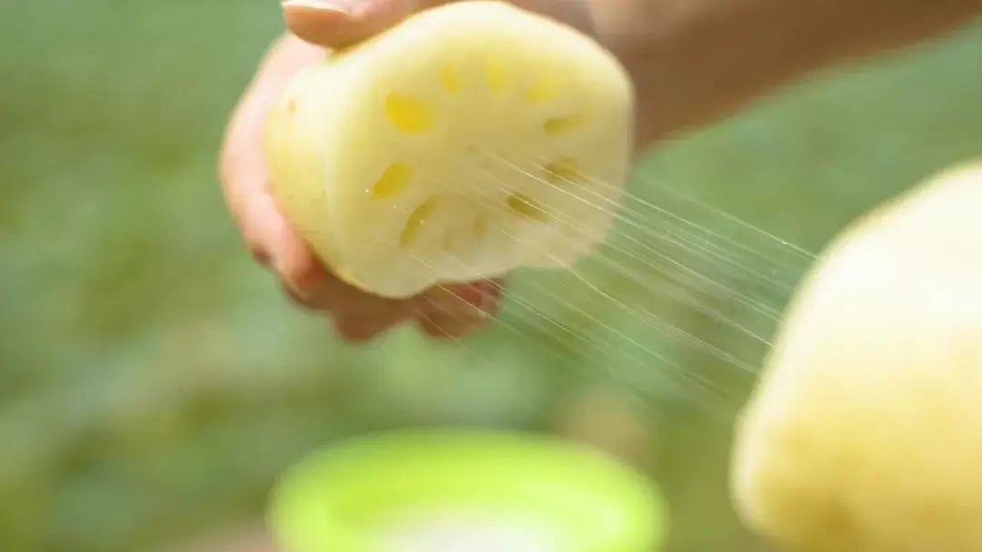 藕斷為什么會絲連呢，東莞食材生鮮配送中心與您談一談