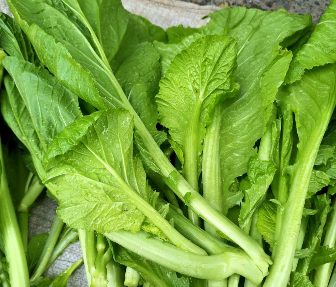 1768194967.jpg ndWogR7i5elGywRXEFgPtQ5e0c34ff7cb9b52f65a97dc8426663ca.jpg