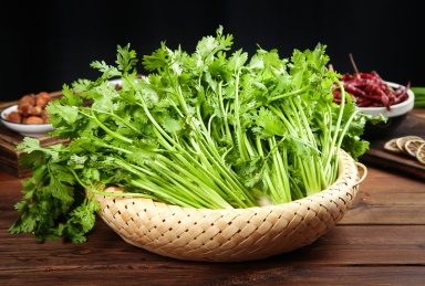 1768626987846325.jpg 香芹2.jpg